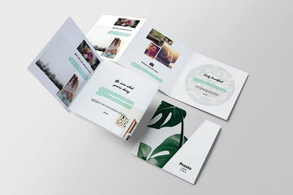 indesign brochure