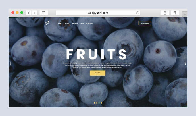 fruits wordpress theme