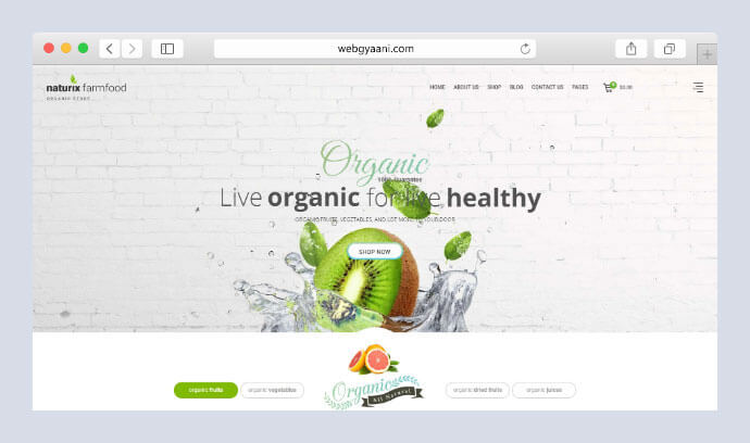 organic store wordpress theme