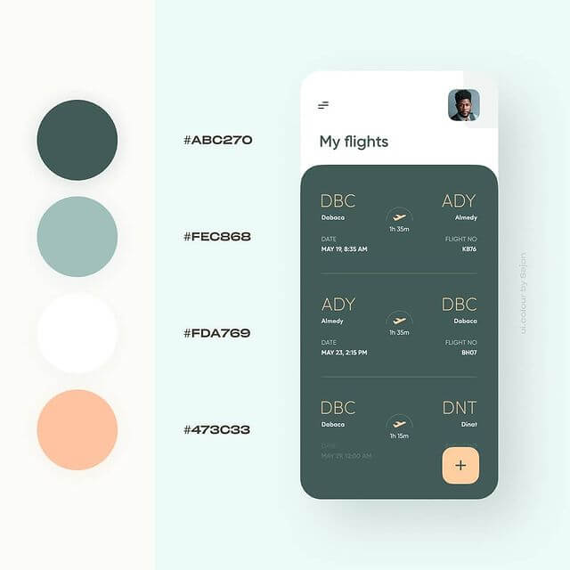 Flight Booking App Color Scheme