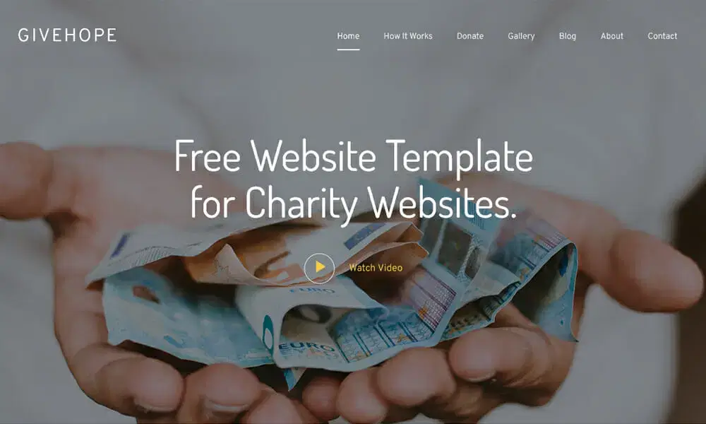 Free Bootstrap HTML NGO Website Template